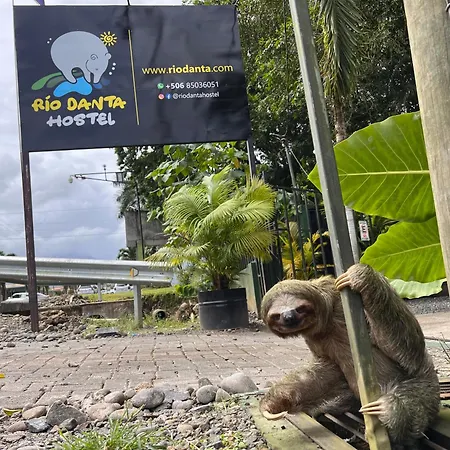 Rio Danta Hostel
